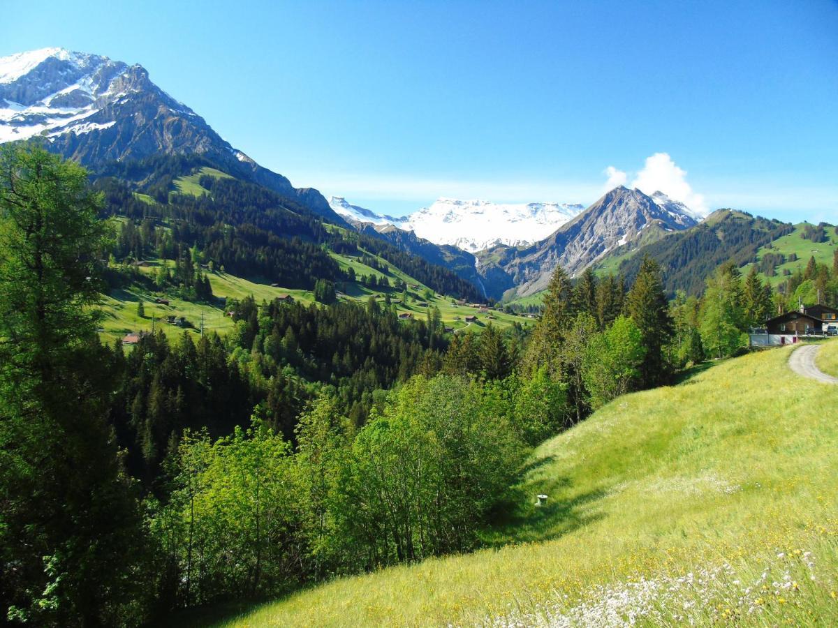 Appartment Andrea Adelboden Esterno foto