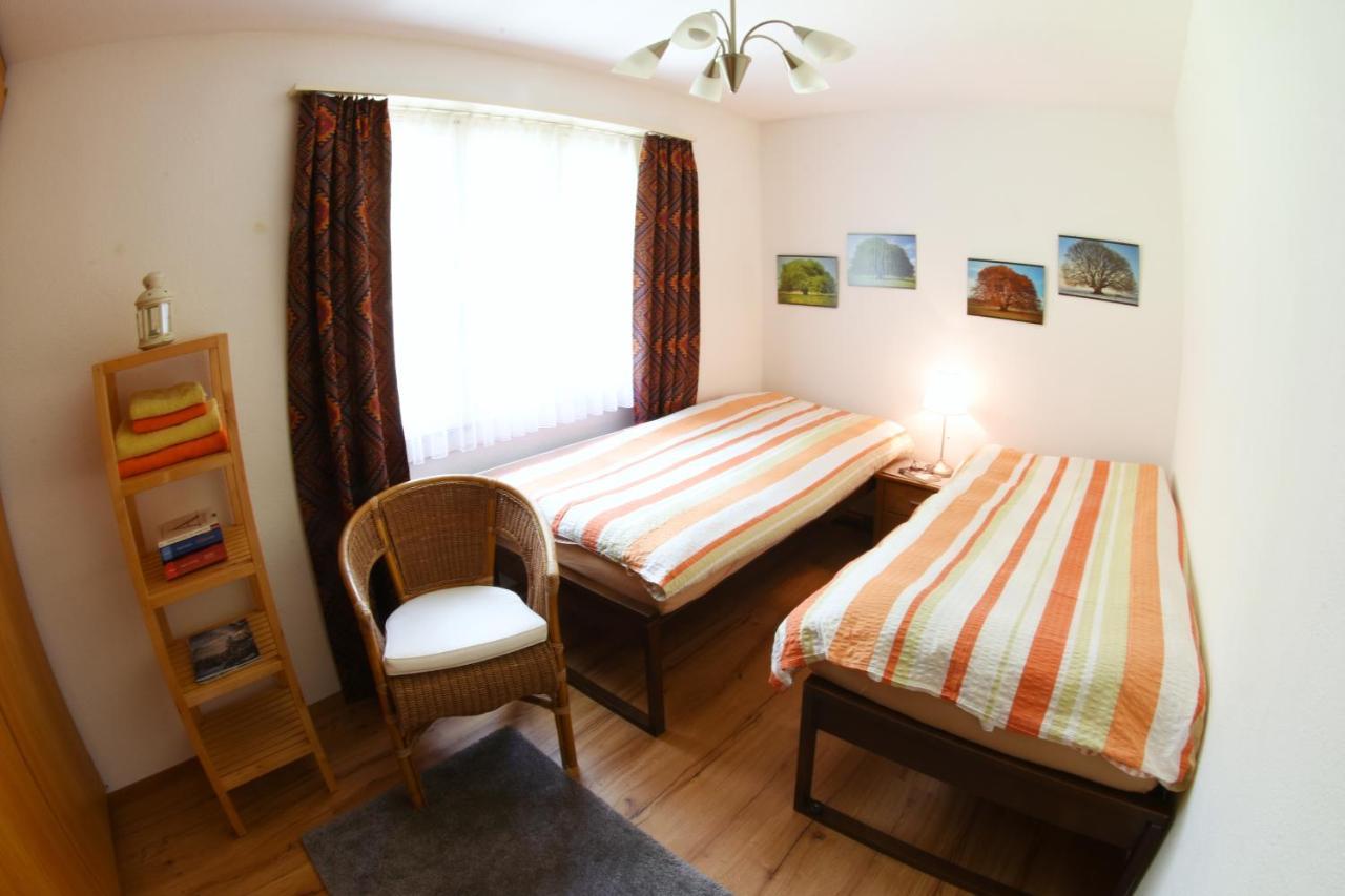 Appartment Andrea Adelboden Esterno foto