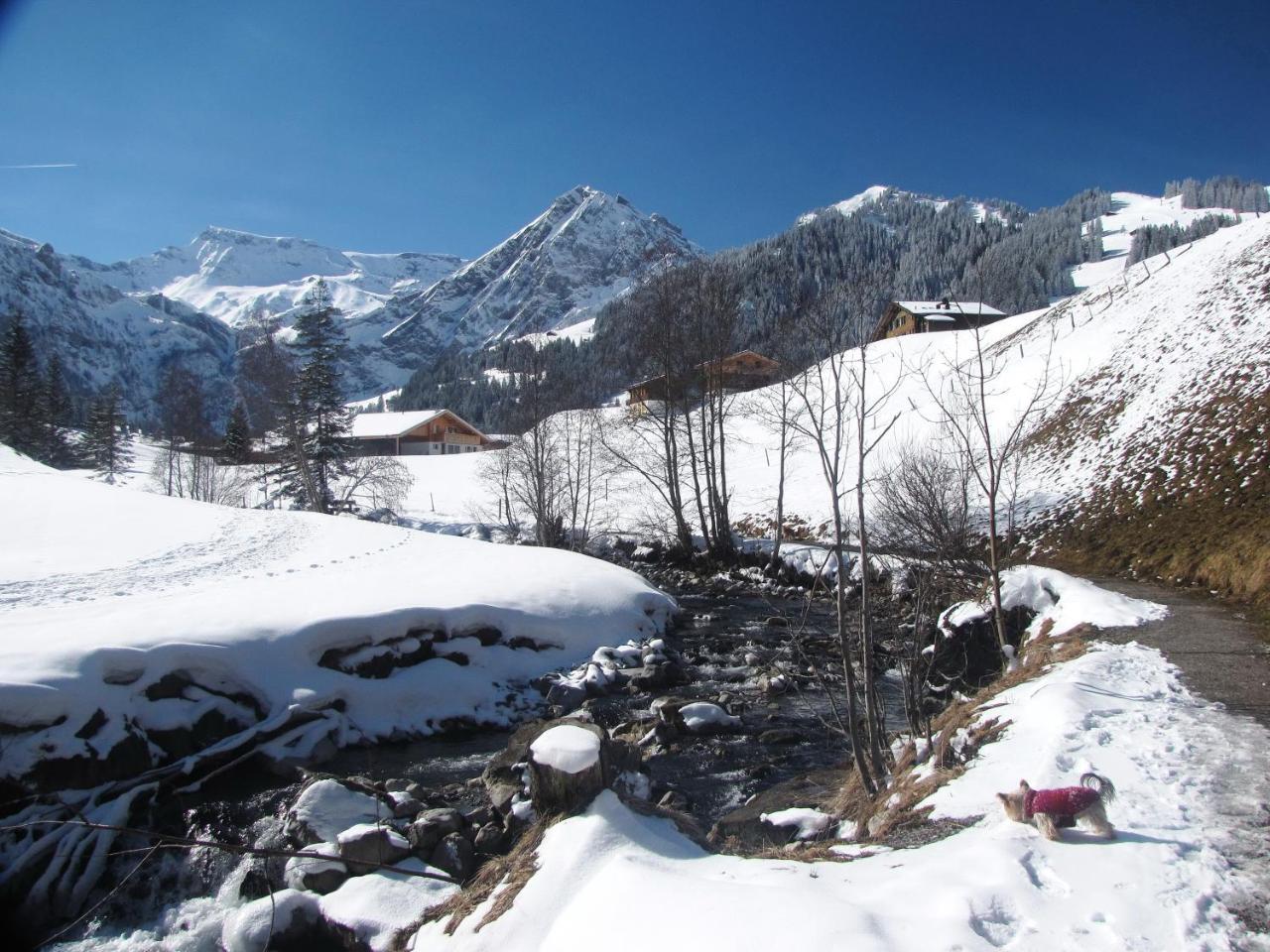 Appartment Andrea Adelboden Esterno foto