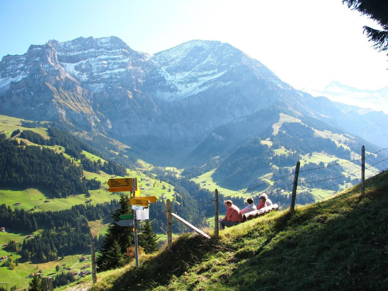 Appartment Andrea Adelboden Esterno foto