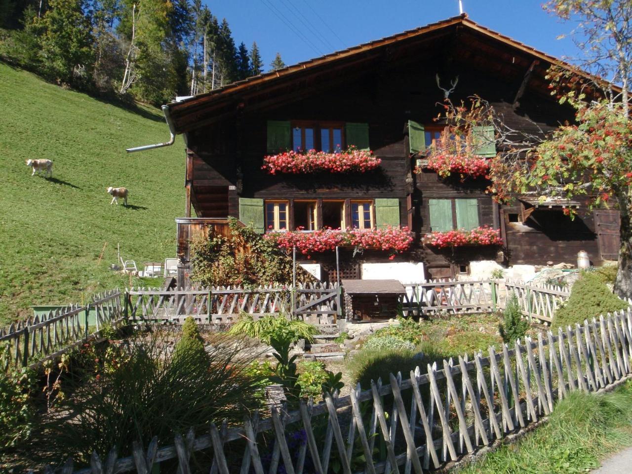 Appartment Andrea Adelboden Esterno foto