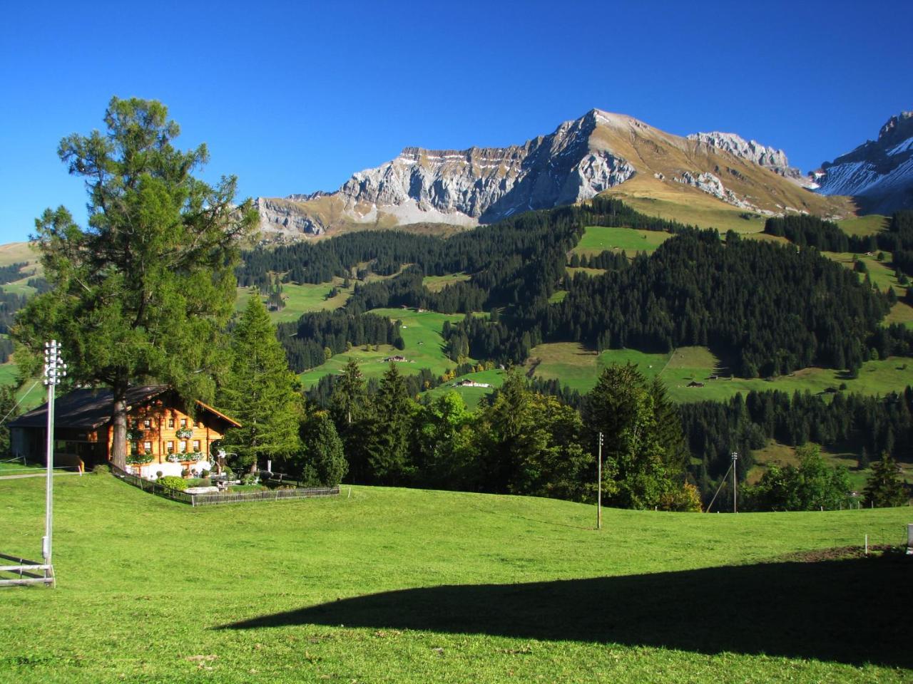 Appartment Andrea Adelboden Esterno foto