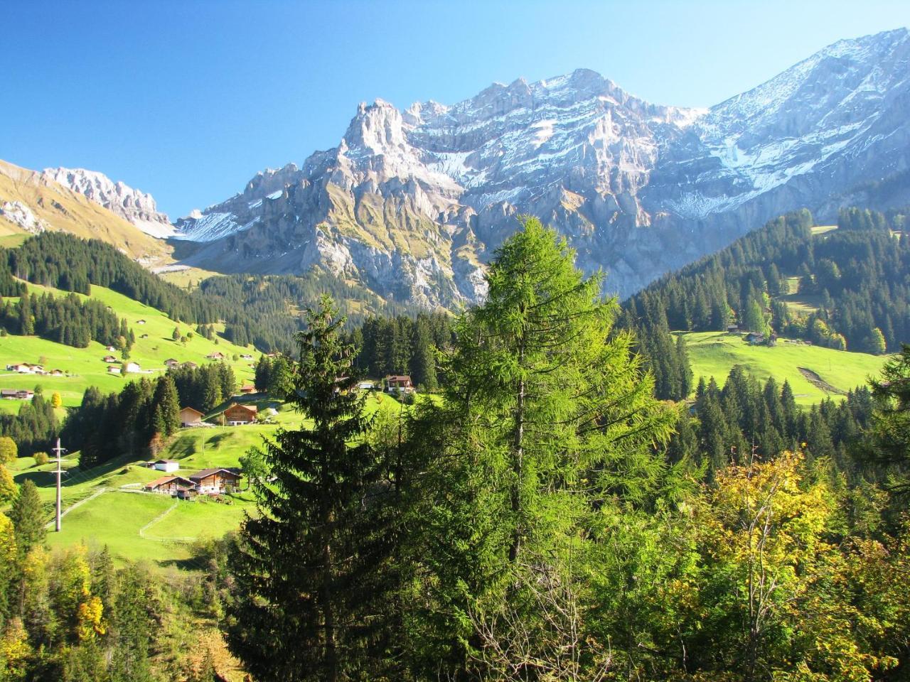 Appartment Andrea Adelboden Esterno foto