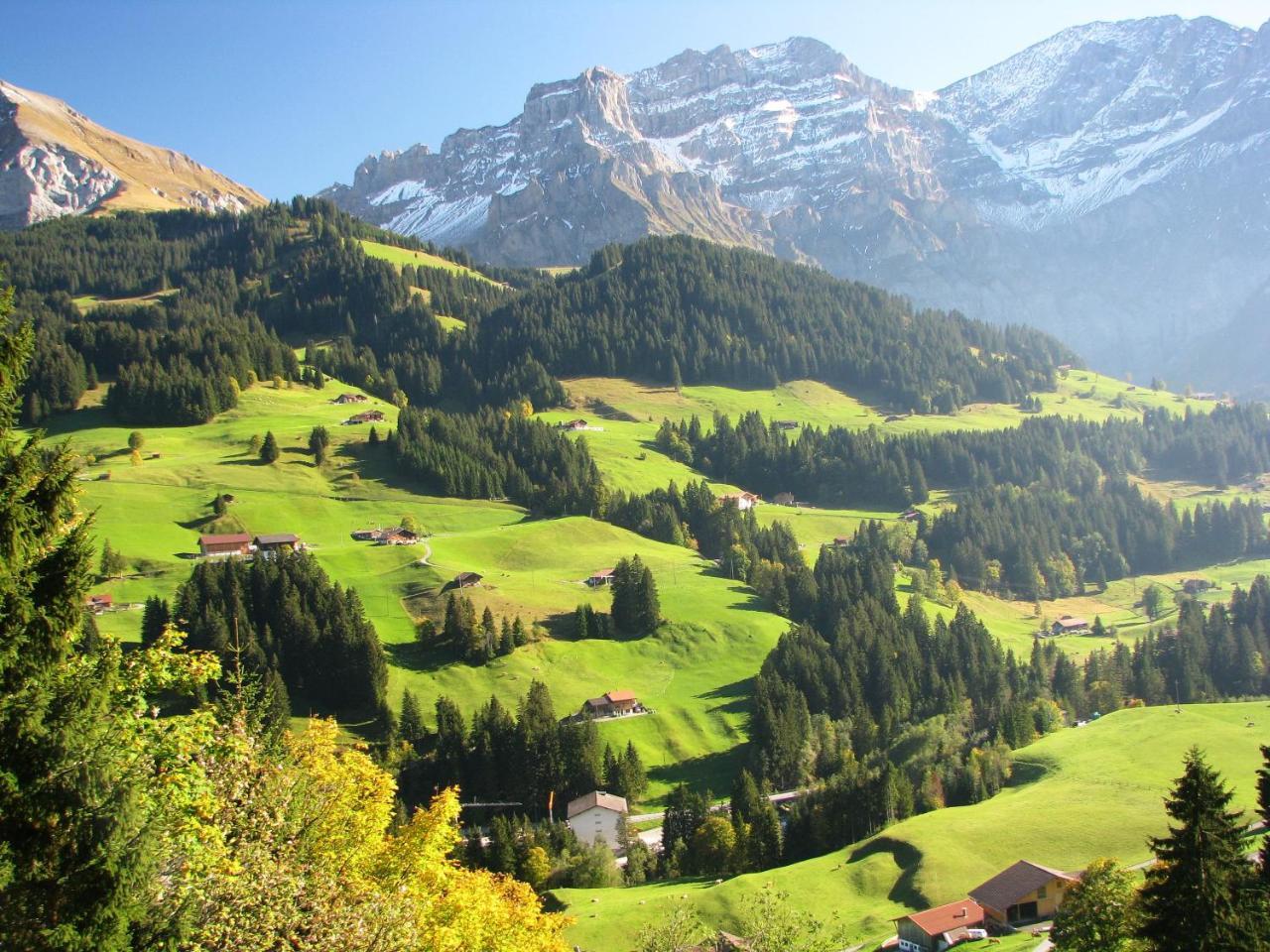 Appartment Andrea Adelboden Esterno foto